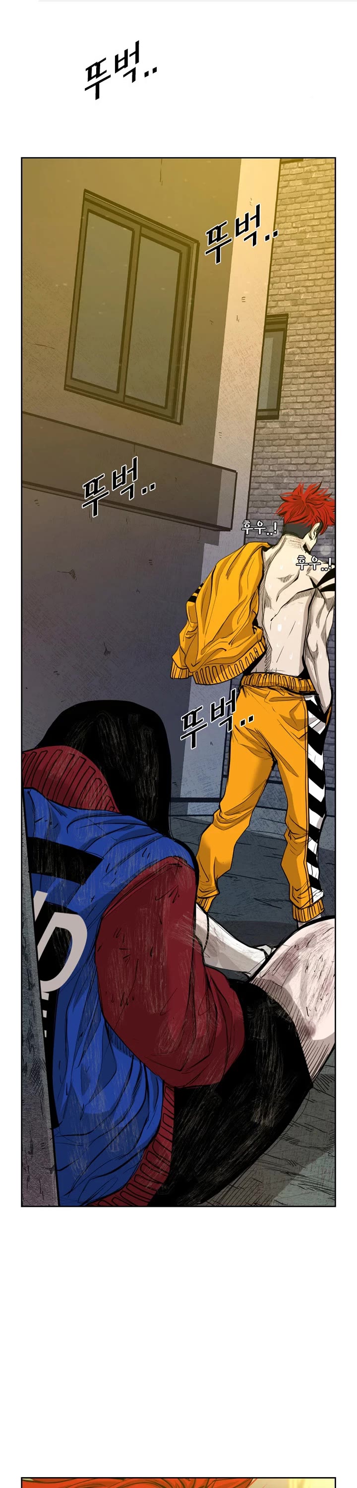 Read Shark EN Manga Online