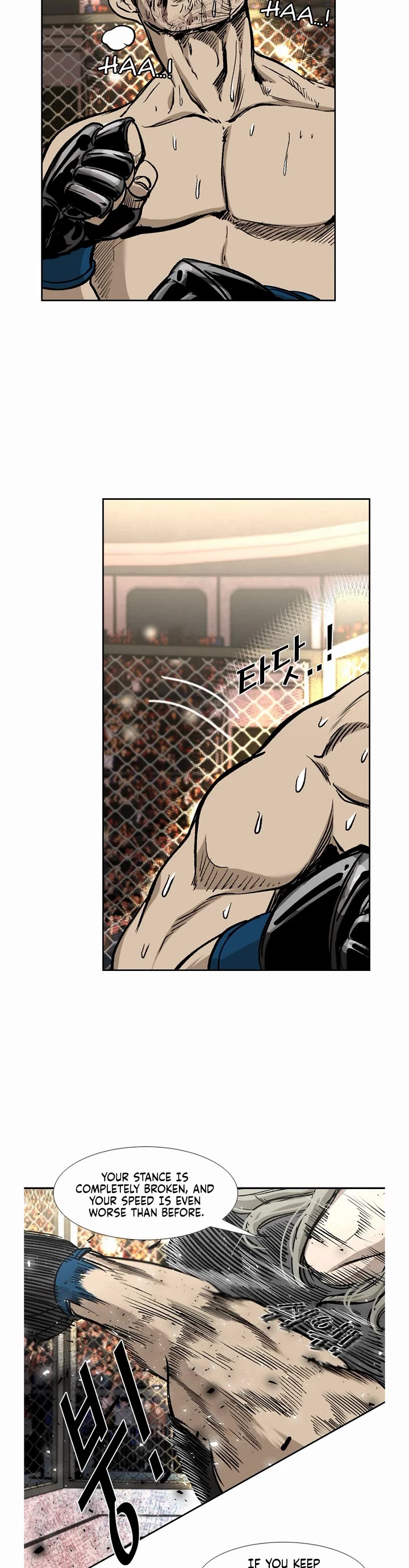 Read Shark EN Manga Online