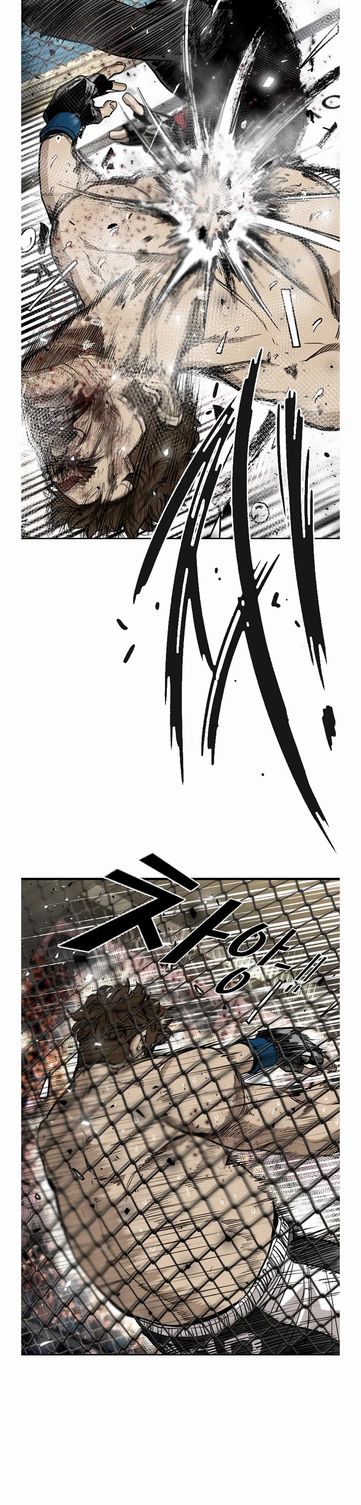 Read Shark EN Manga Online