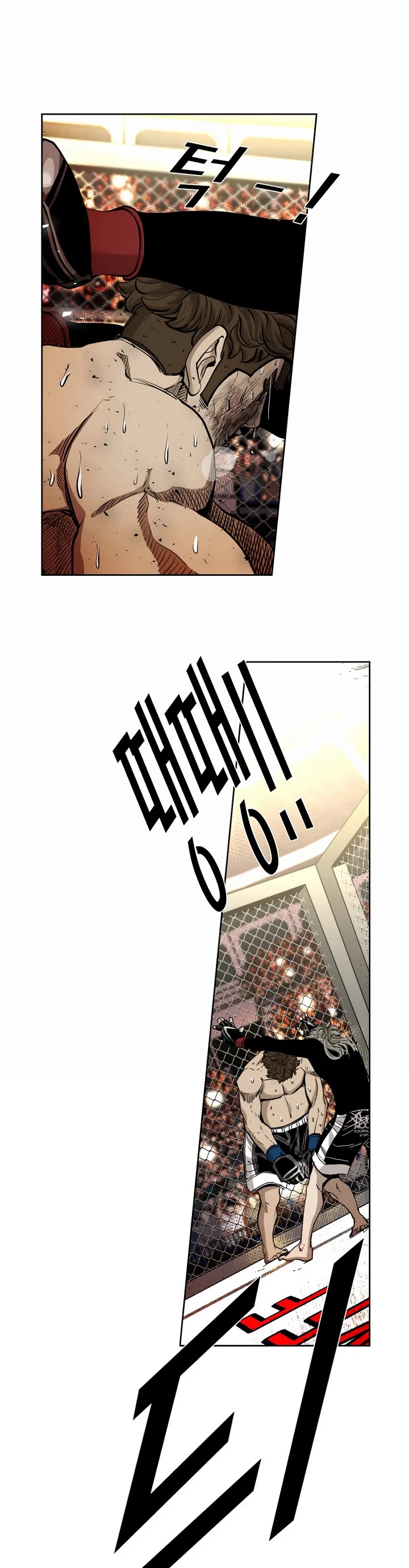 Read Shark EN Manga Online