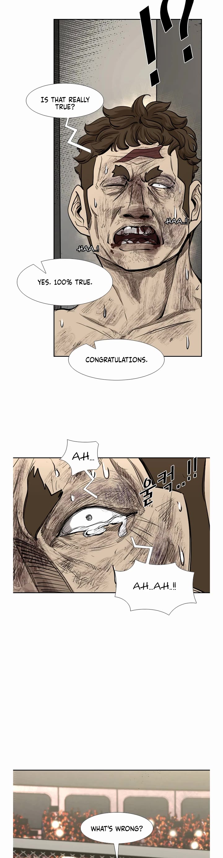 Read Shark EN Manga Online