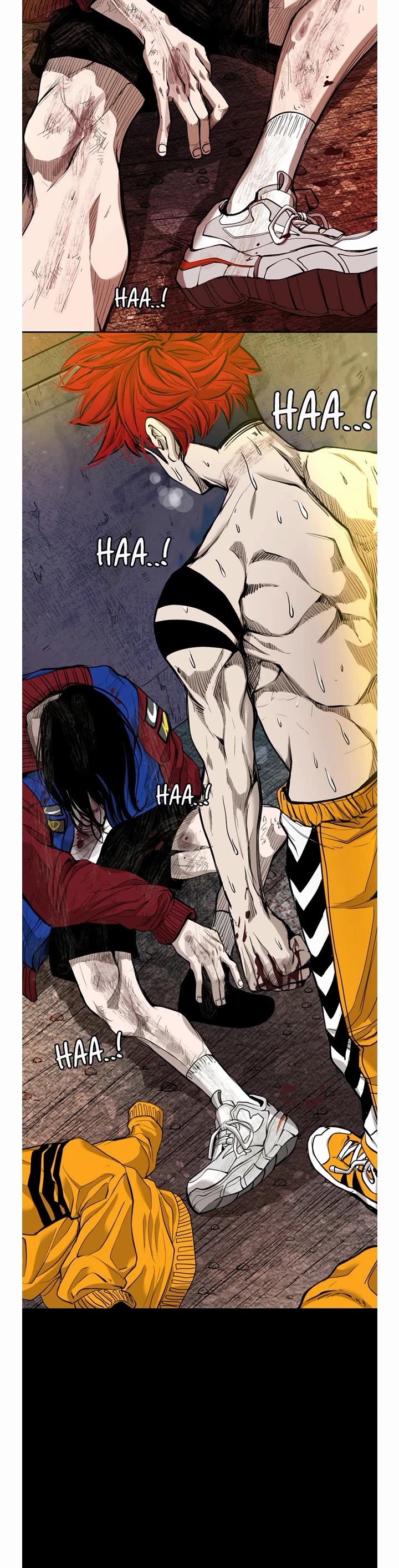 Read Shark EN Manga Online