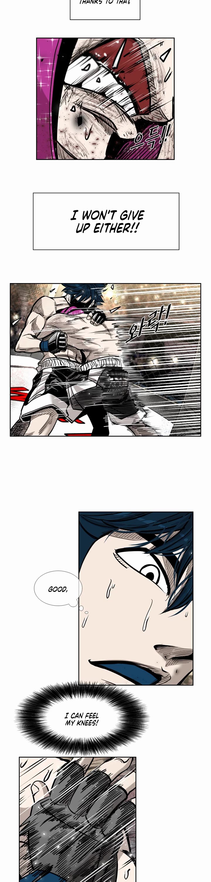 Read Shark EN Manga Online