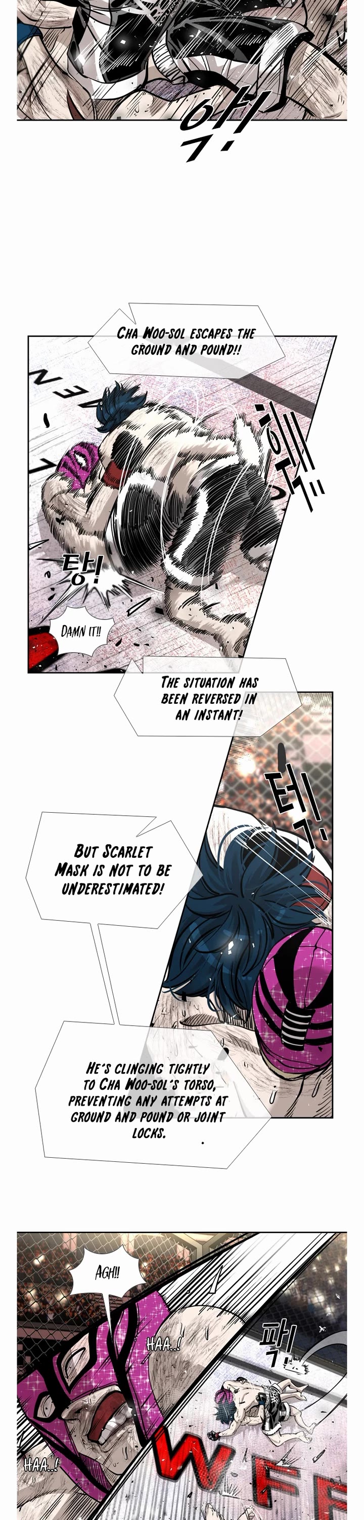 Read Shark EN Manga Online