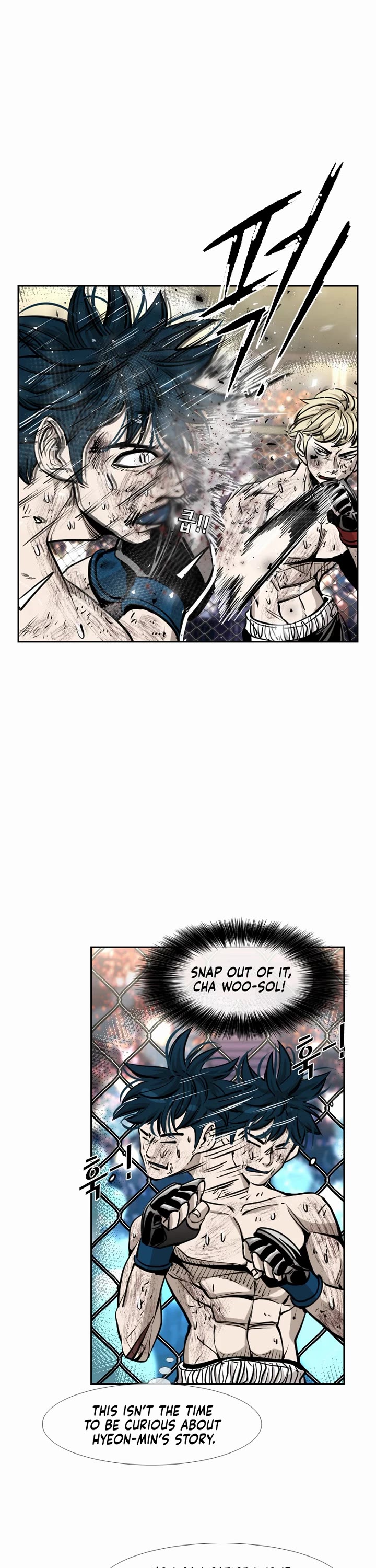 Read Shark EN Manga Online