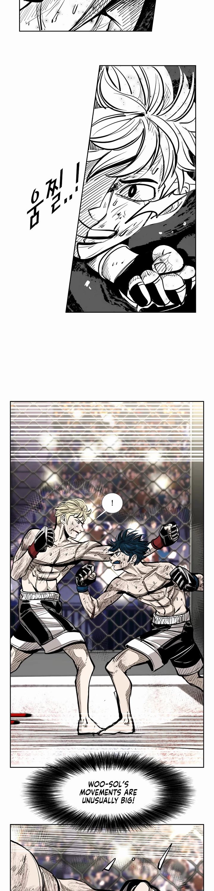 Read Shark EN Manga Online