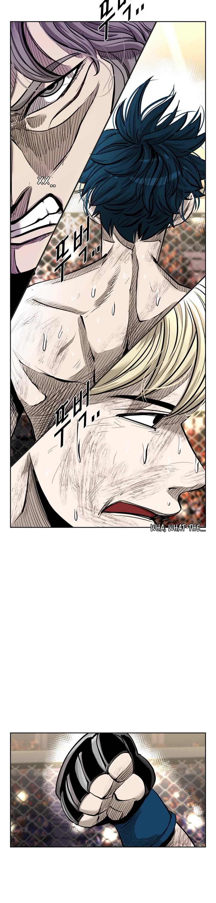 Read Shark EN Manga Online