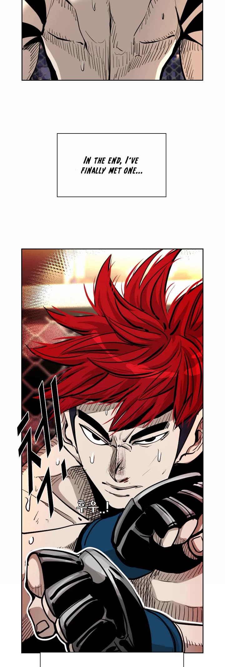 Read Shark EN Manga Online