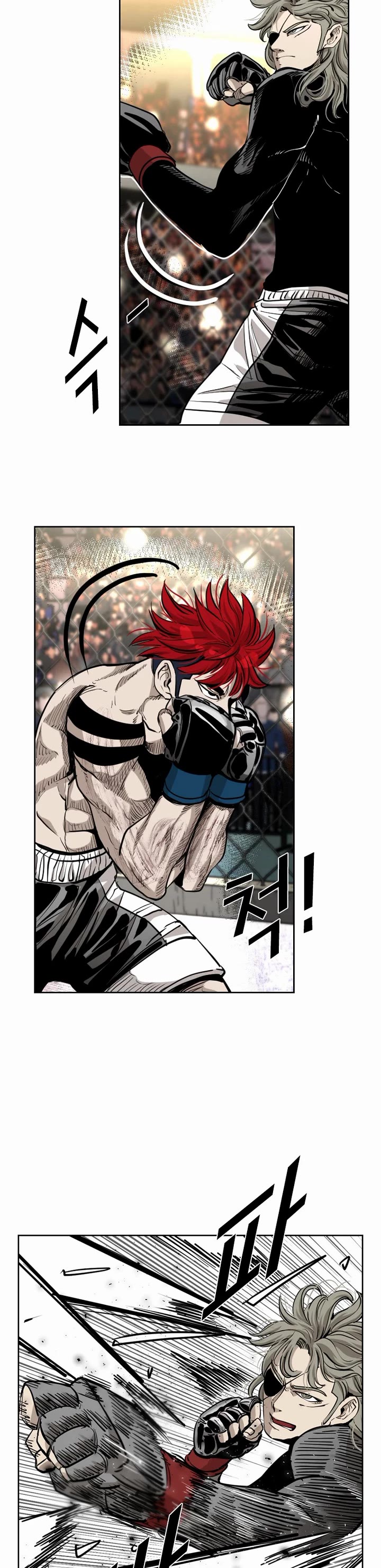 Read Shark EN Manga Online