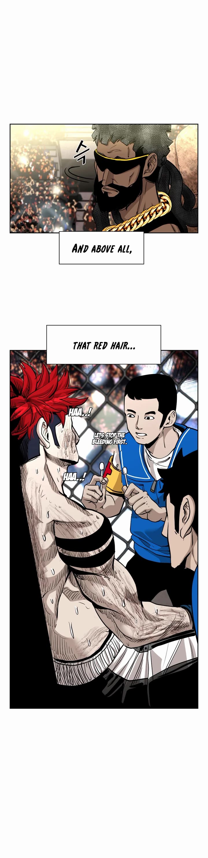 Read Shark EN Manga Online