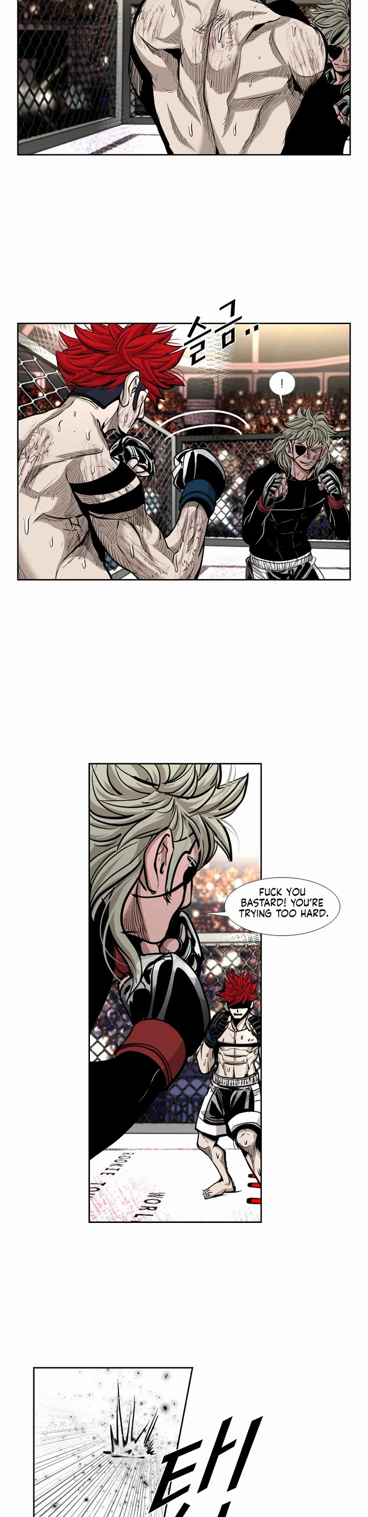 Read Shark EN Manga Online