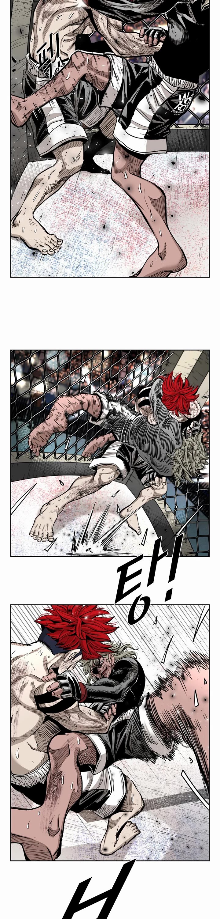 Read Shark EN Manga Online