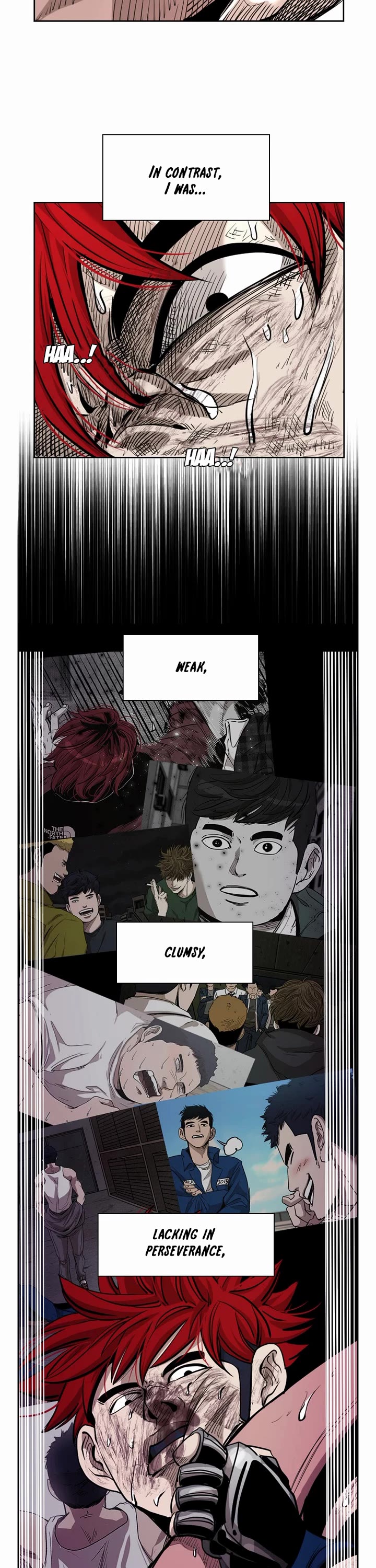 Read Shark EN Manga Online