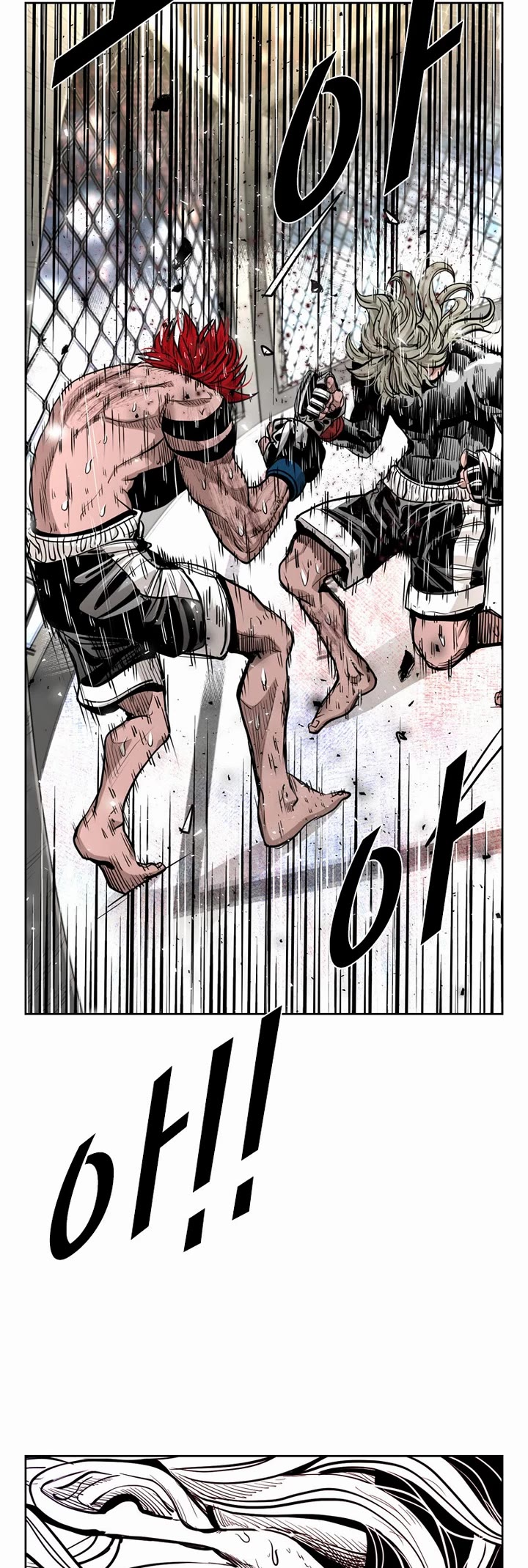 Read Shark EN Manga Online