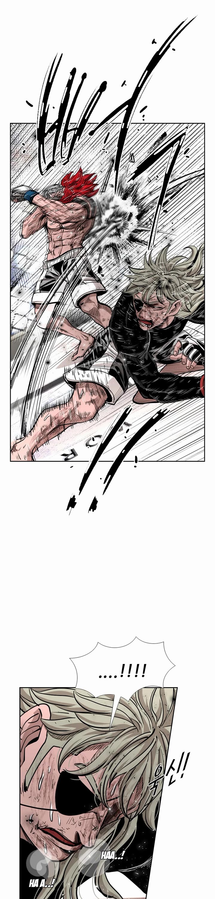 Read Shark EN Manga Online