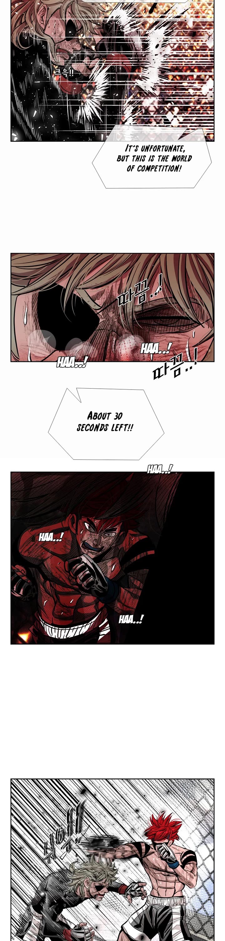 Read Shark EN Manga Online