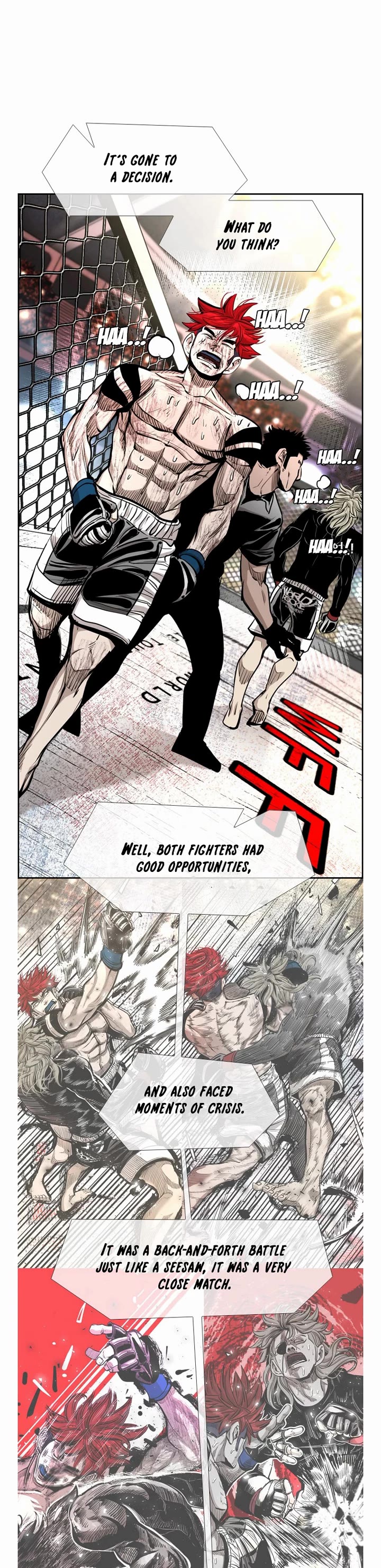 Read Shark EN Manga Online