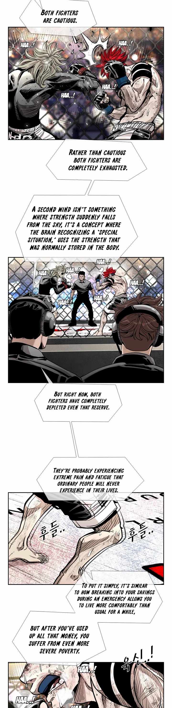Read Shark EN Manga Online