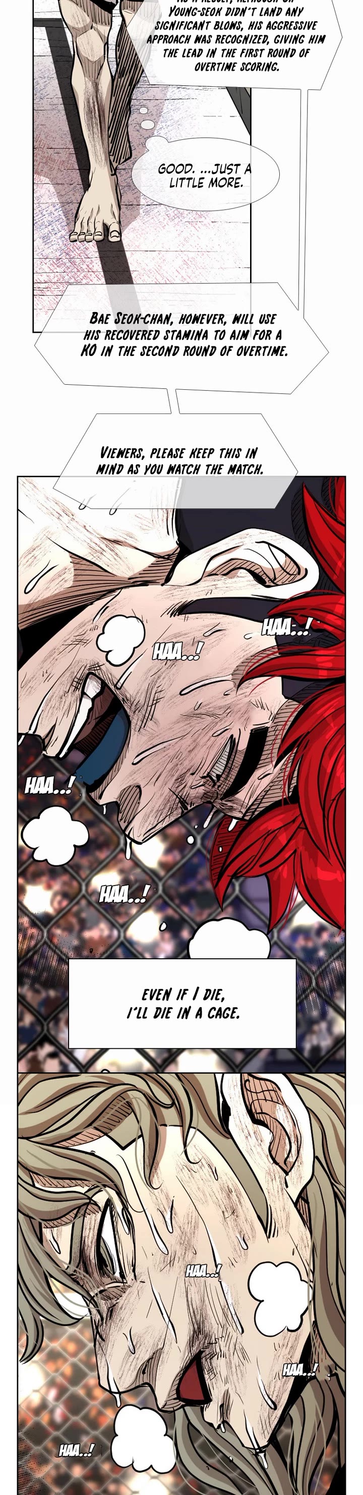 Read Shark EN Manga Online
