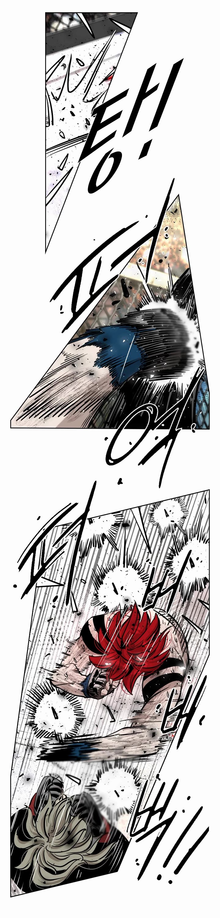 Read Shark EN Manga Online