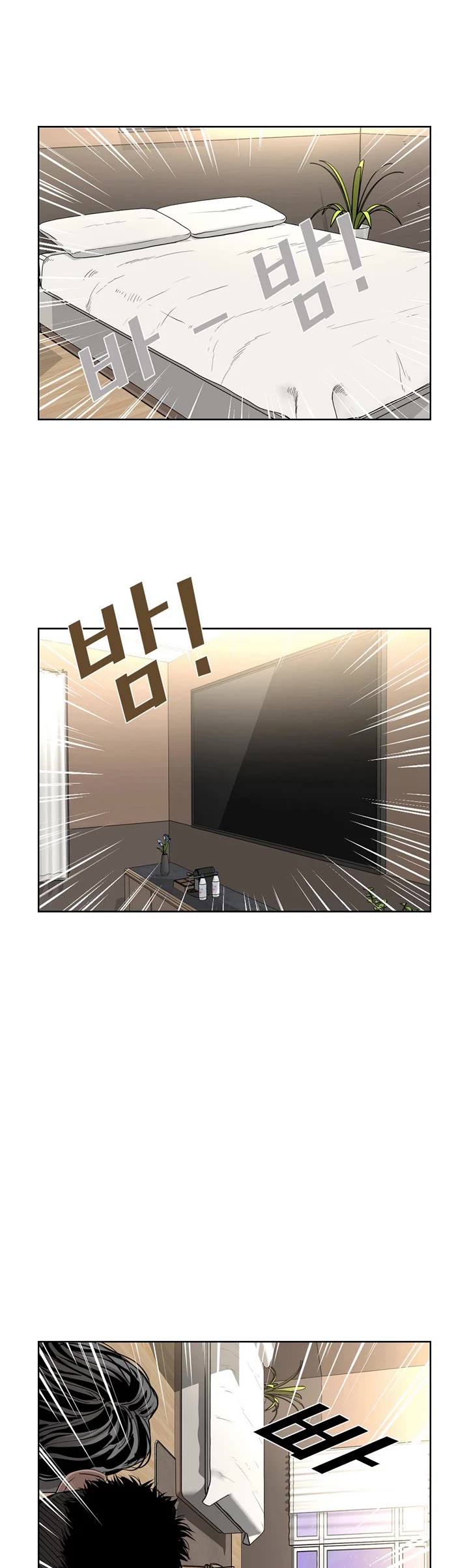 Read Shark EN Manga Online