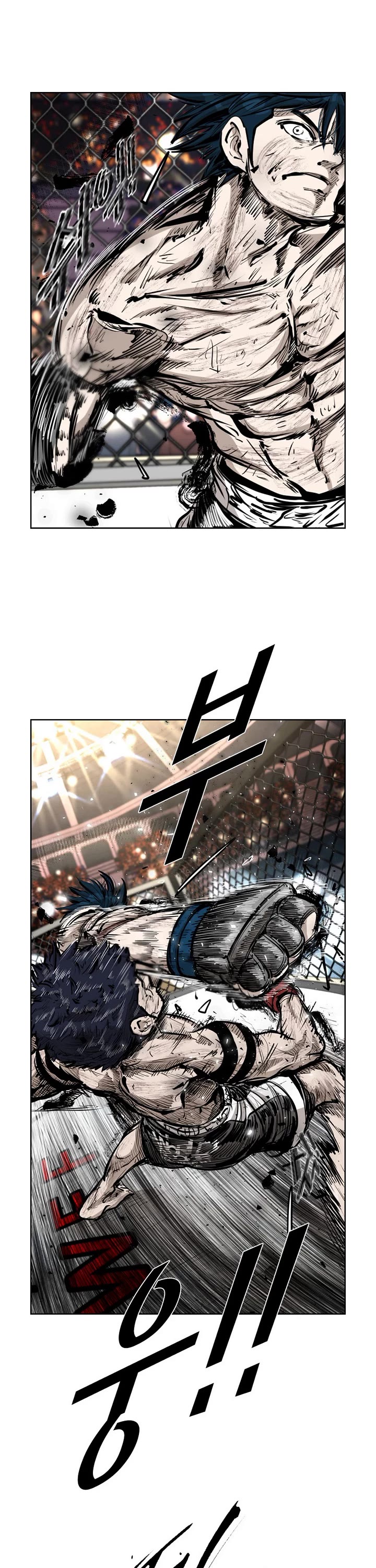Read Shark EN Manga Online