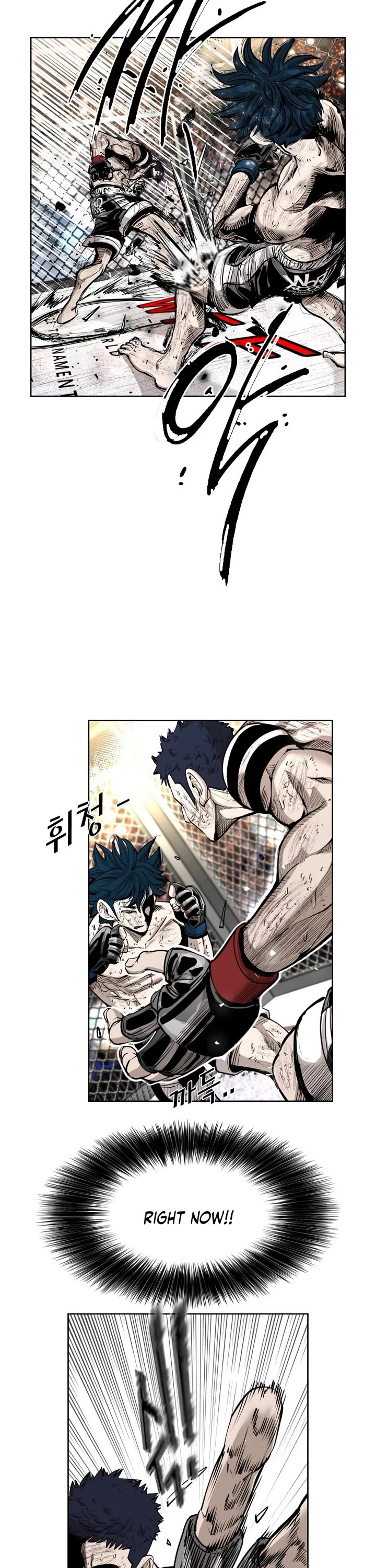 Read Shark EN Manga Online