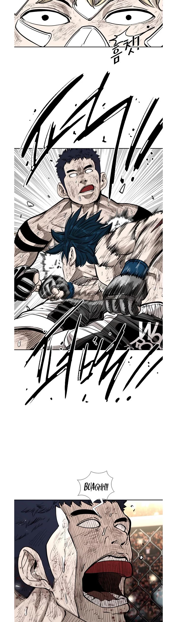 Read Shark EN Manga Online
