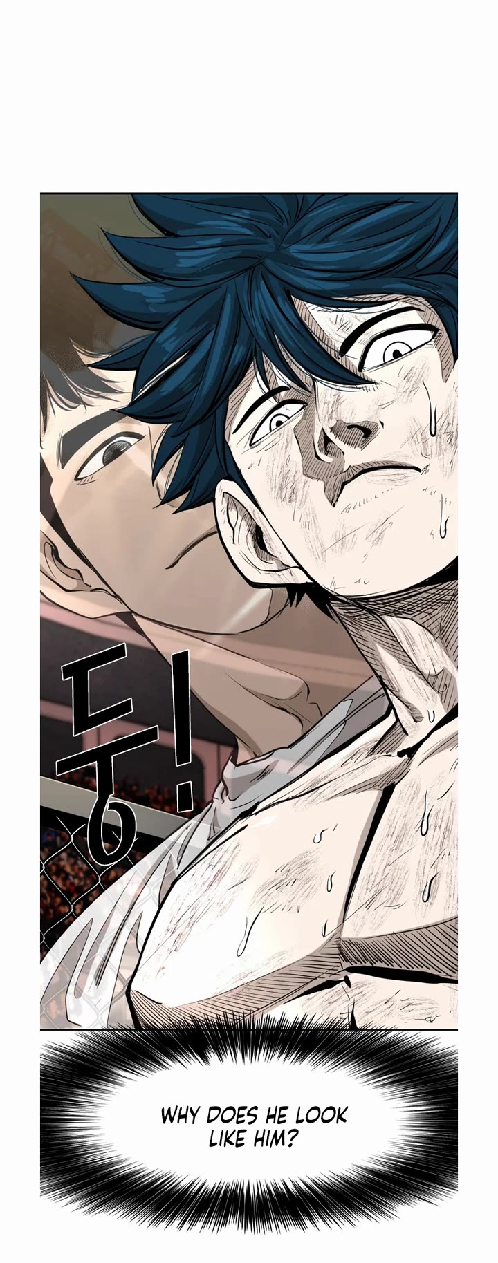 Read Shark EN Manga Online