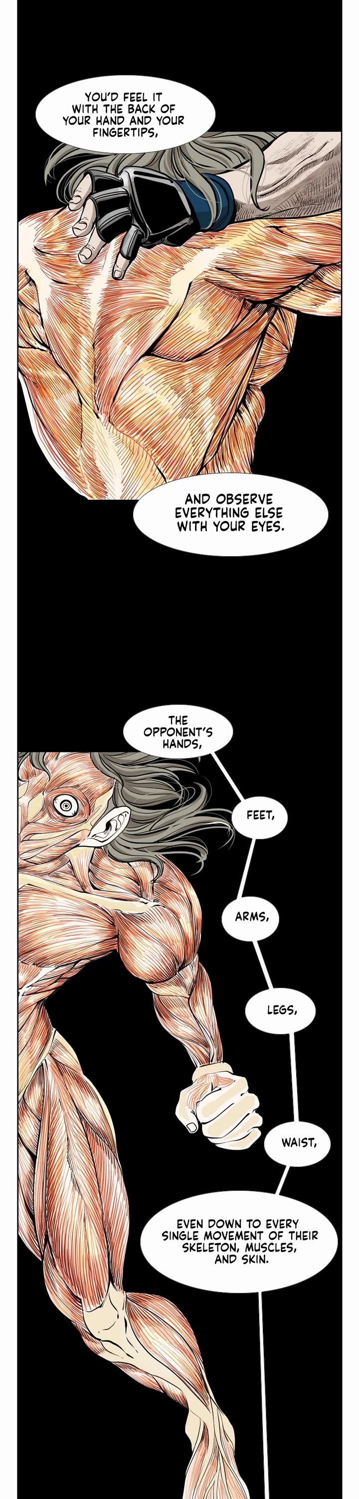 Read Shark EN Manga Online