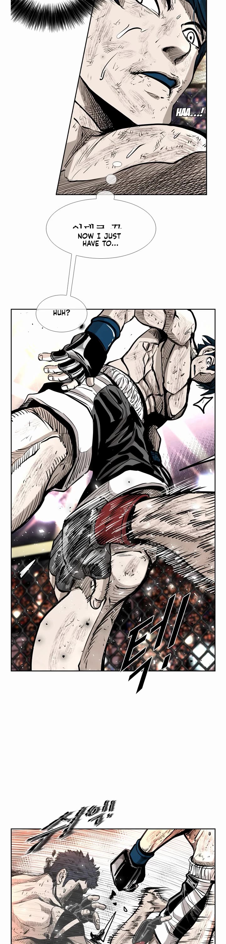Read Shark EN Manga Online
