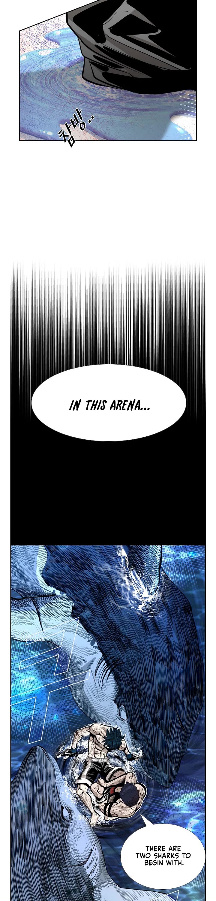 Read Shark EN Manga Online