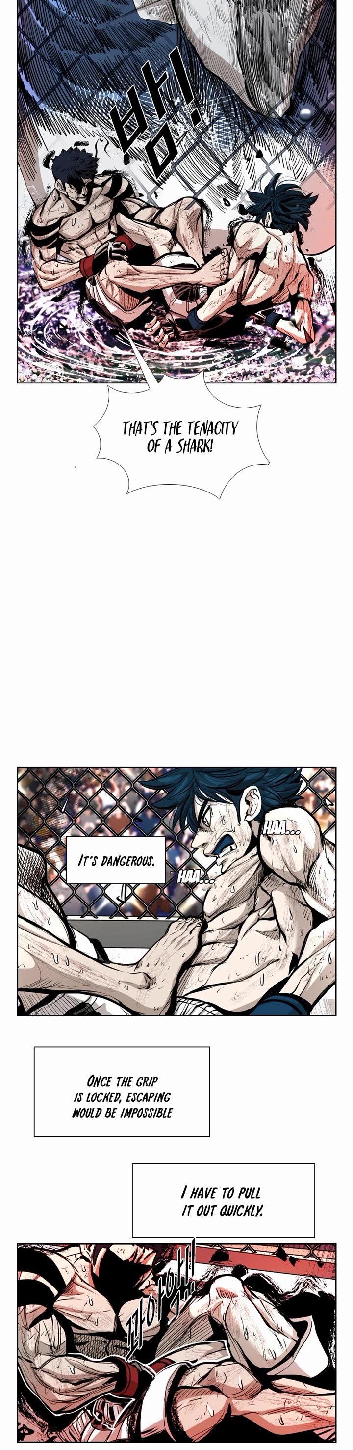 Read Shark EN Manga Online