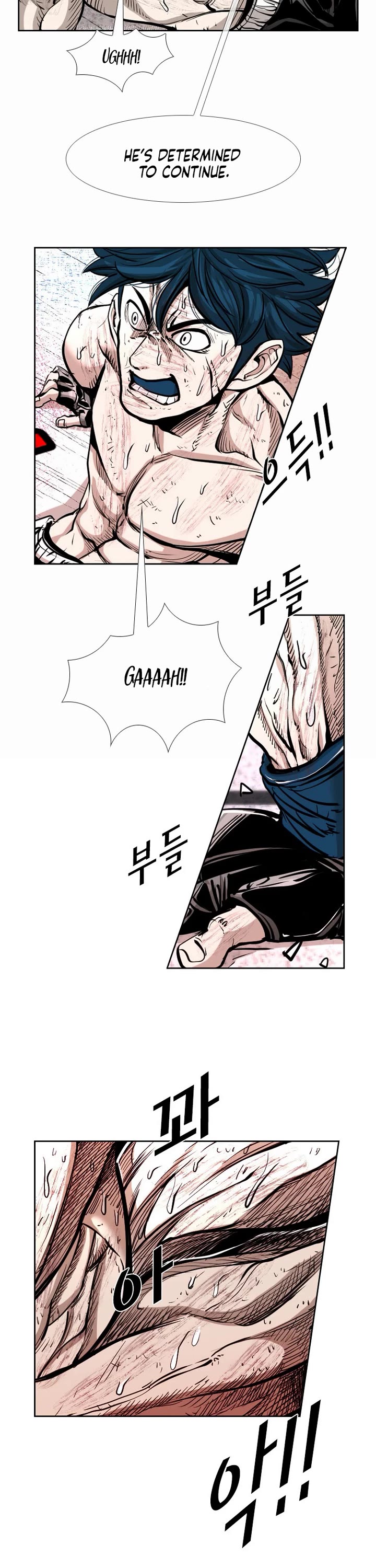 Read Shark EN Manga Online