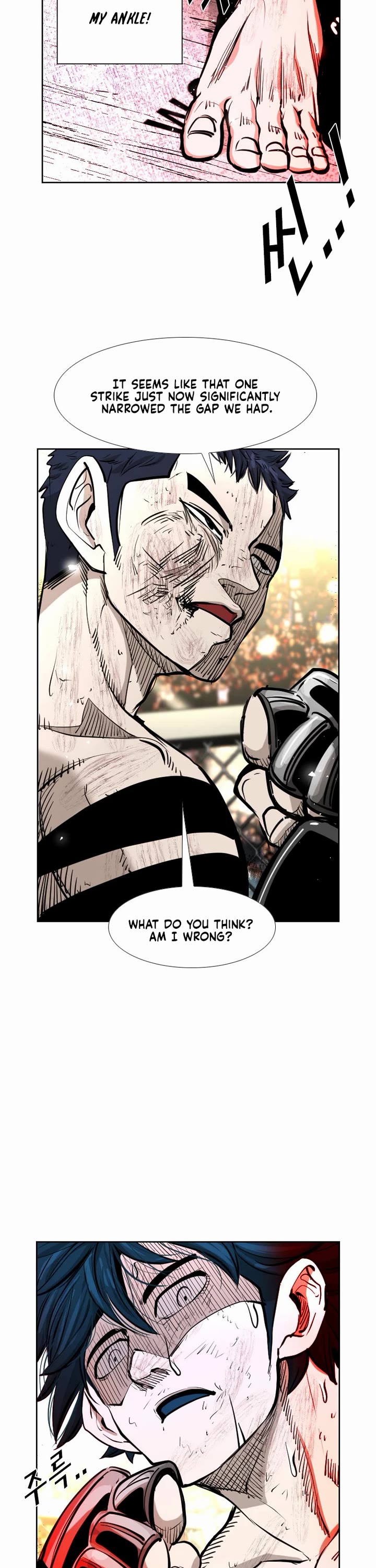 Read Shark EN Manga Online