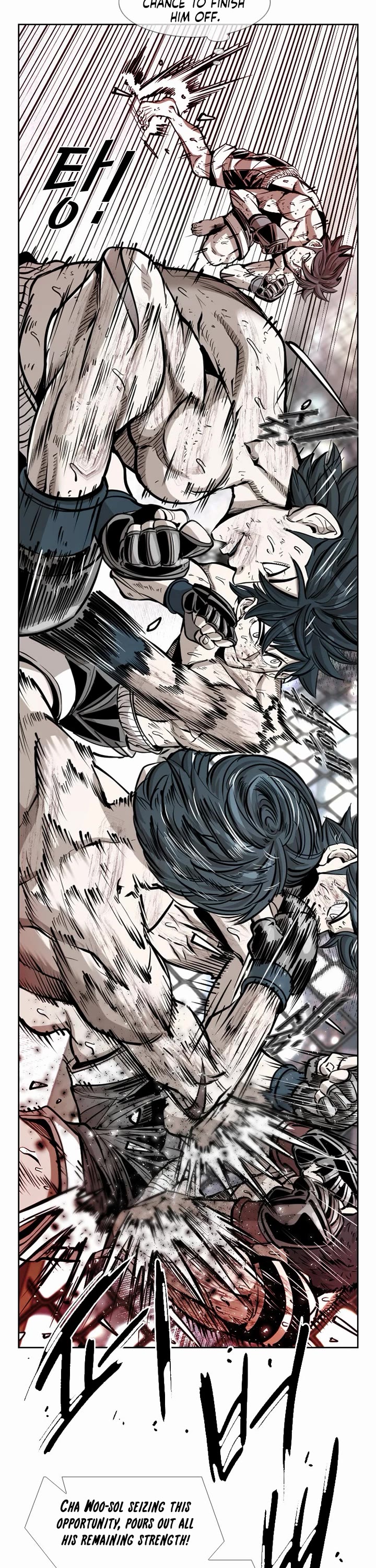 Read Shark EN Manga Online