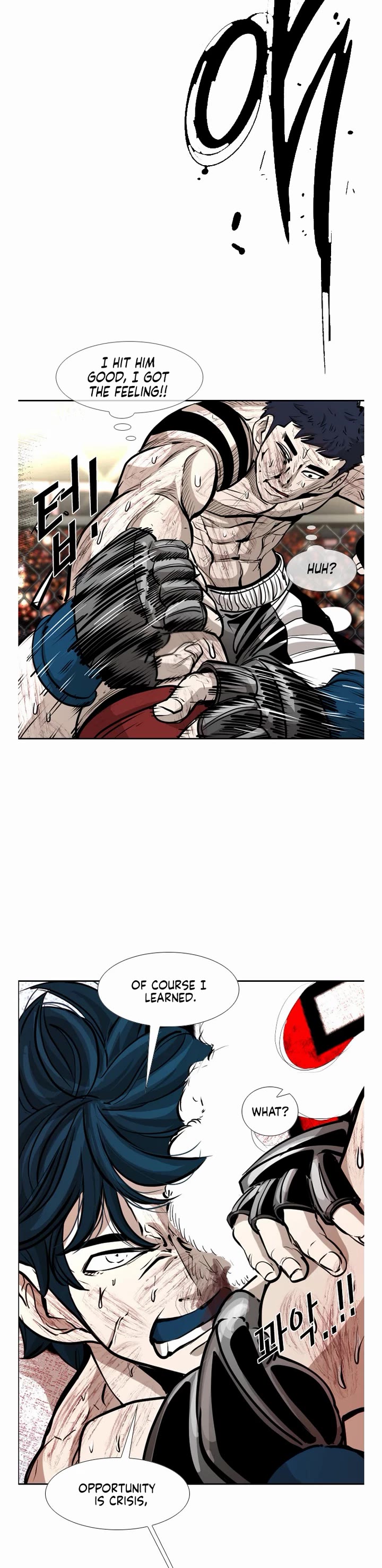 Read Shark EN Manga Online