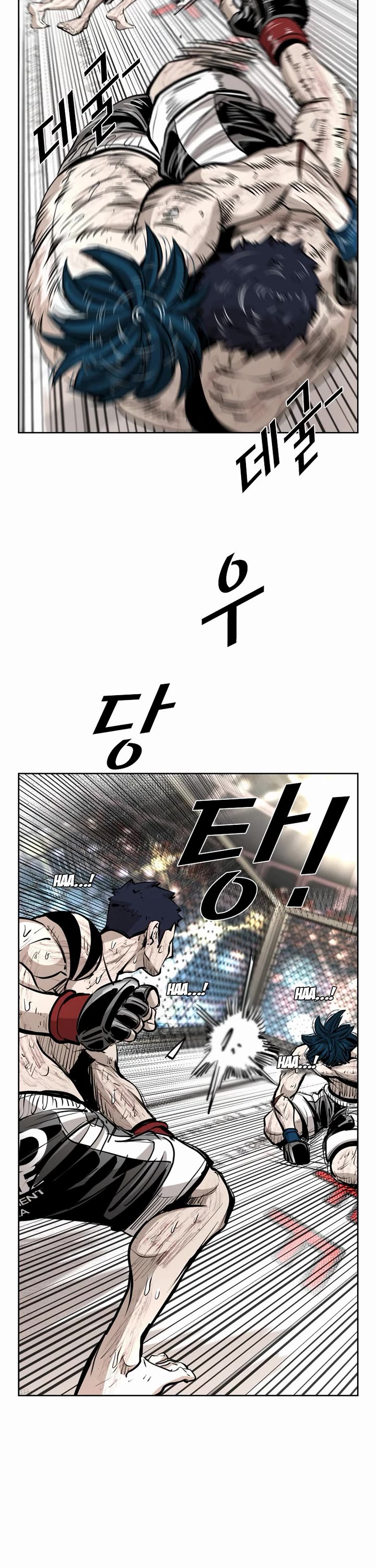 Read Shark EN Manga Online