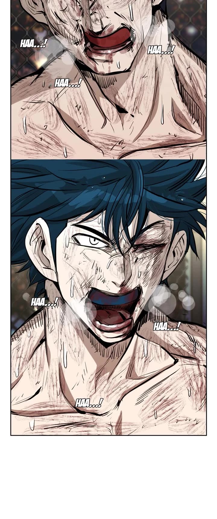 Read Shark EN Manga Online