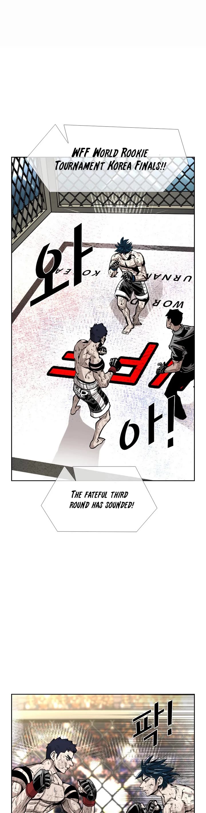 Read Shark EN Manga Online