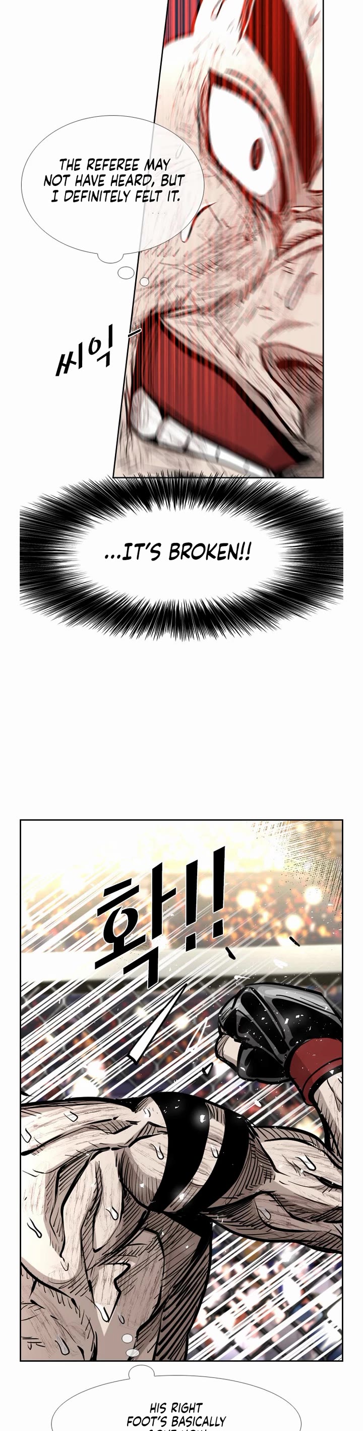 Read Shark EN Manga Online