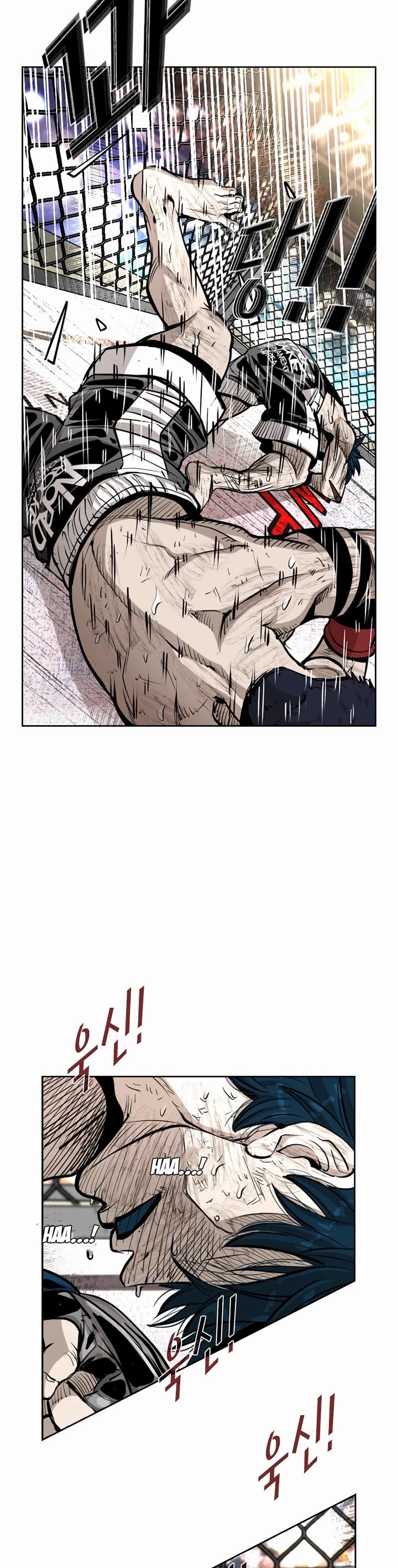 Read Shark EN Manga Online