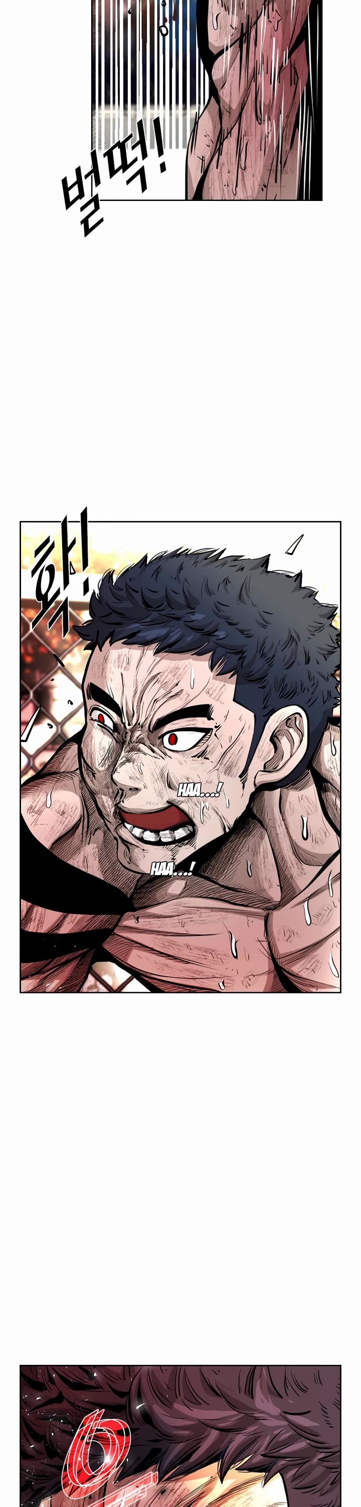Read Shark EN Manga Online