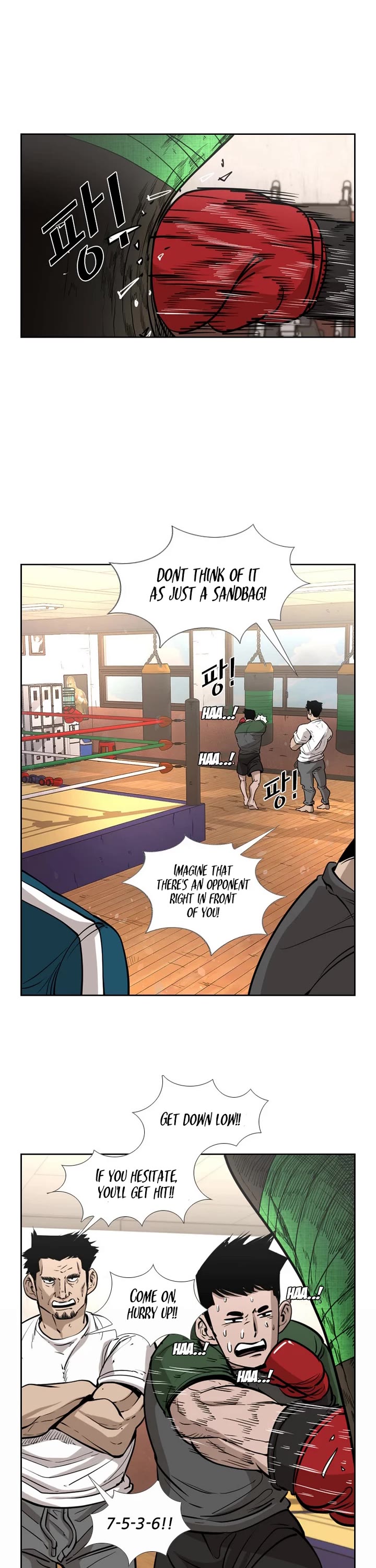 Read Shark EN Manga Online