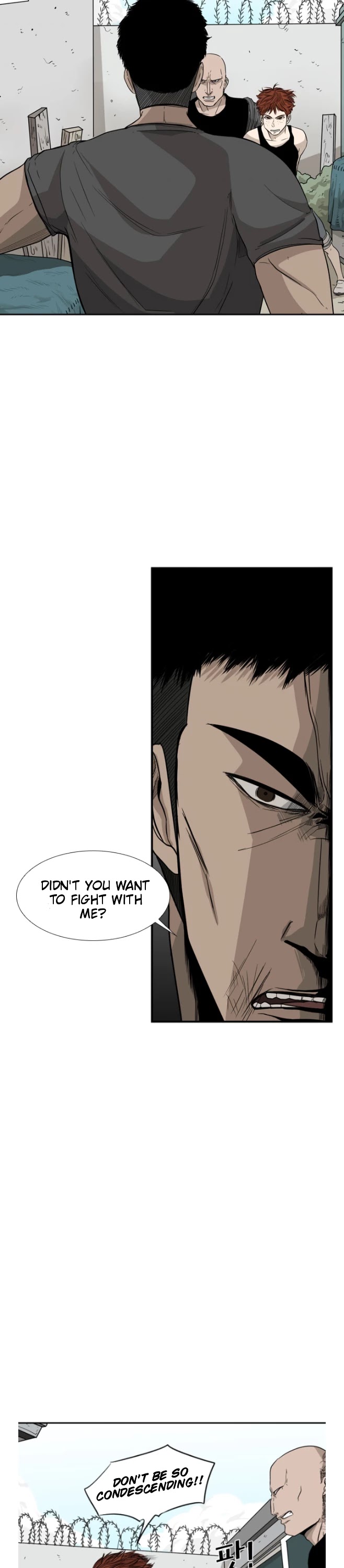Read Shark EN Manga Online