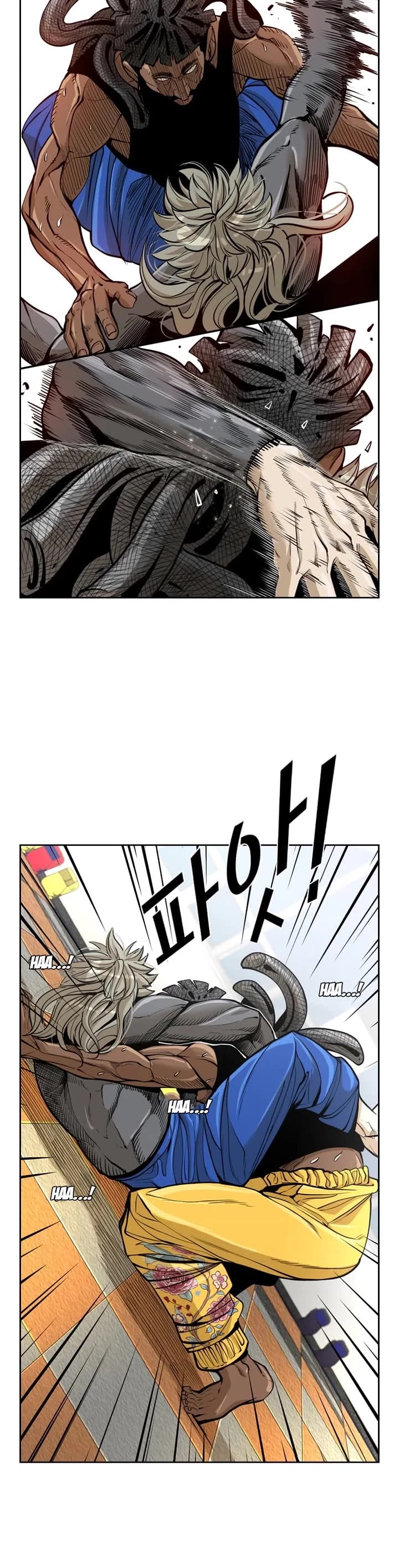 Read Shark EN Manga Online