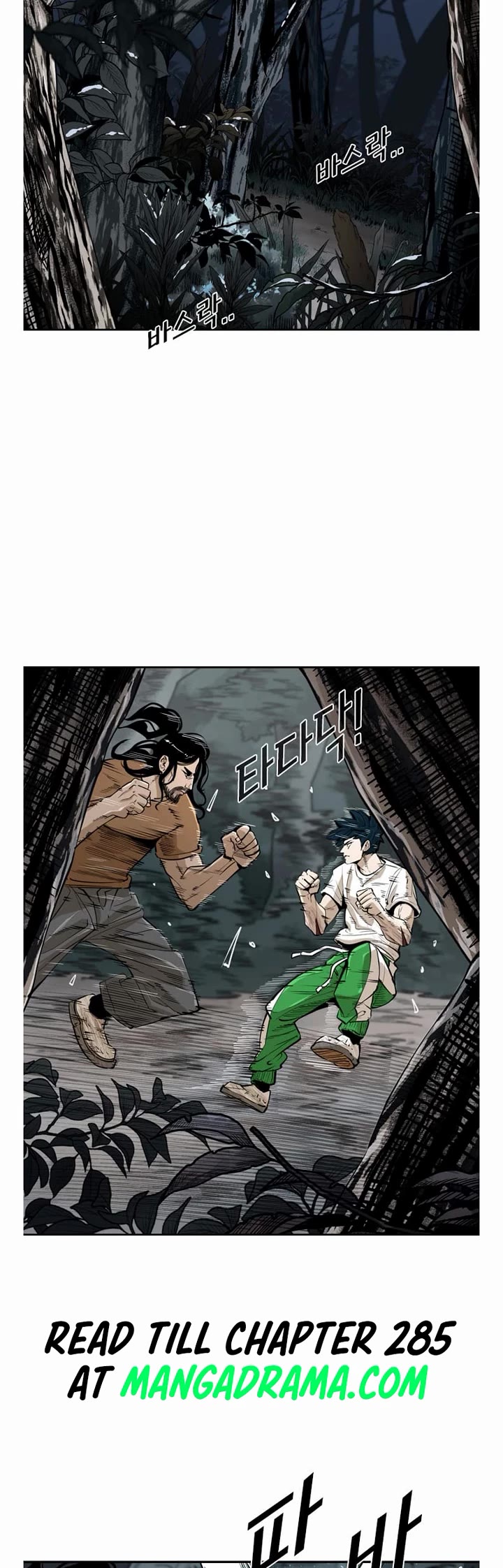 Read Shark EN Manga Online