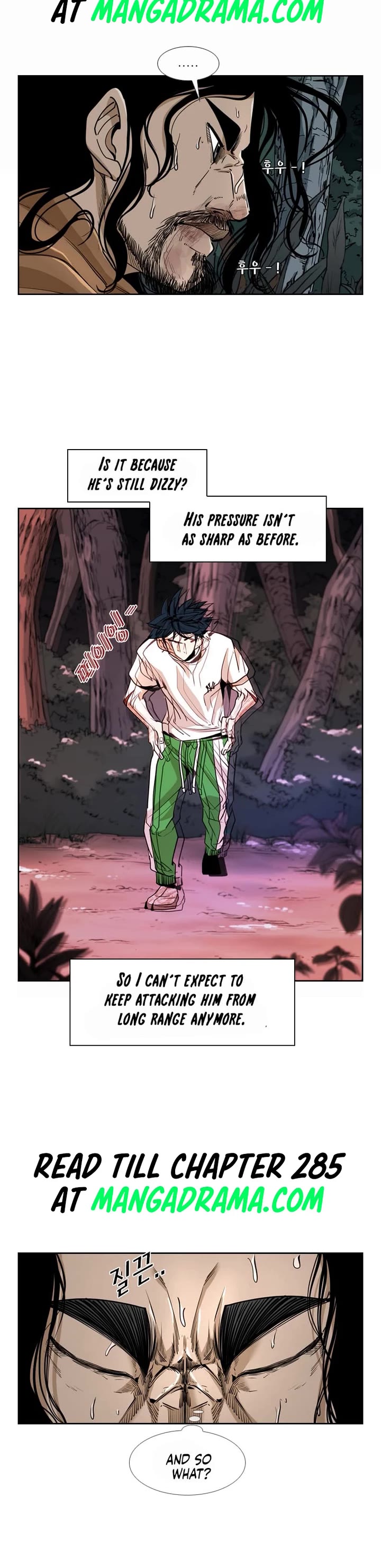 Read Shark EN Manga Online