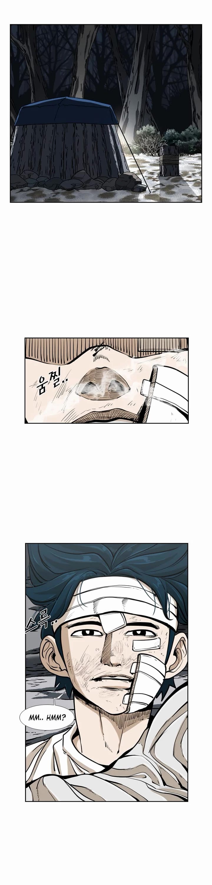 Read Shark EN Manga Online