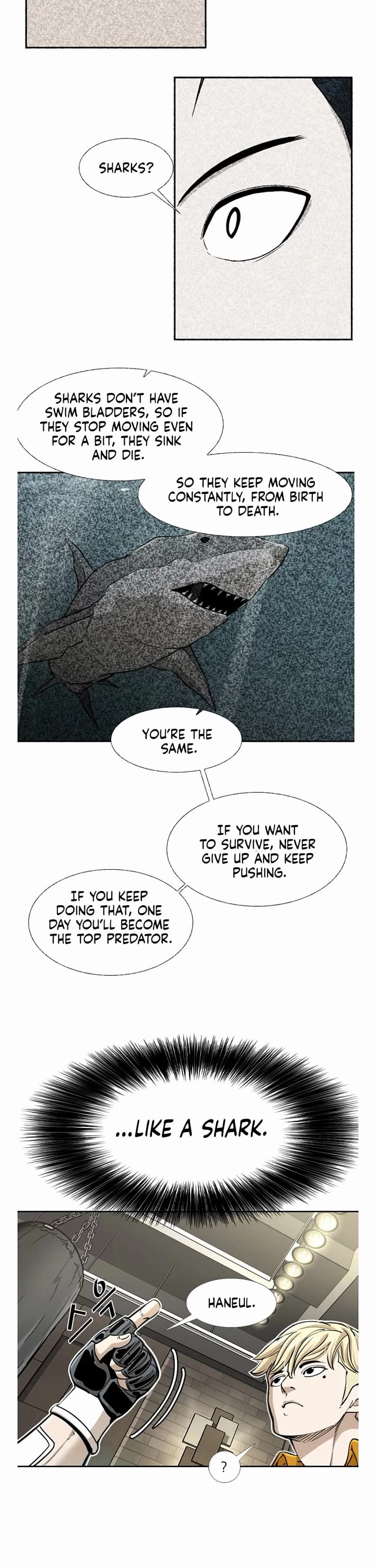 Read Shark EN Manga Online